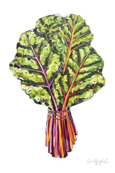 Vegetables: Swiss Chard by Laurel Greenfield