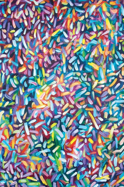Rainbow Sprinkles by Laurel Greenfield canvas print