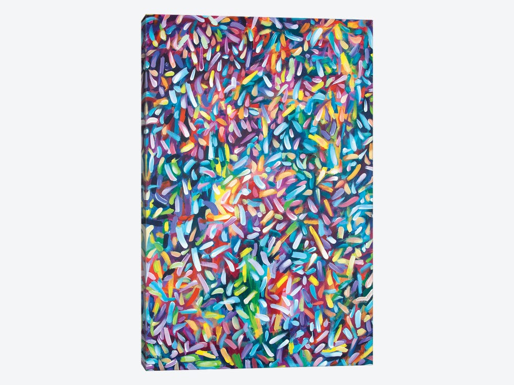 Rainbow Sprinkles by Laurel Greenfield 1-piece Canvas Art