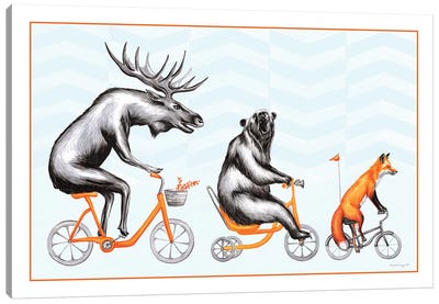 Forest Animals Trio Canvas Art Print - Moose Art
