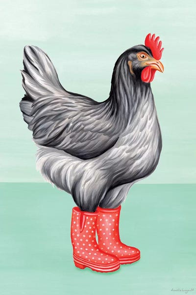Boots: Hen Rainboots by Amélie Legault