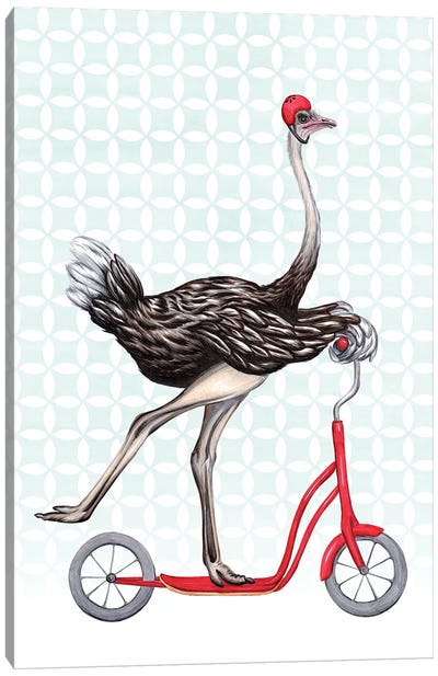 Ostrich On Bike Canvas Art Print - Amélie Legault
