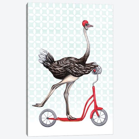 Ostrich On Bike Canvas Print #LGL28} by Amélie Legault Canvas Art Print
