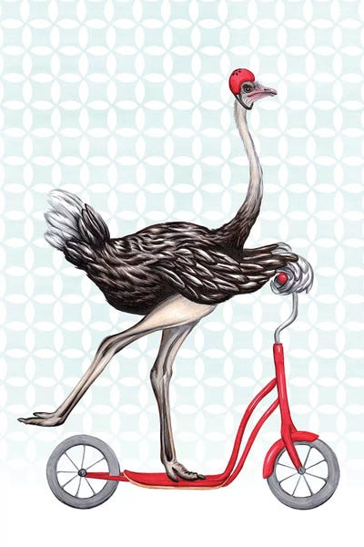 Ostriches: Ostrich On Bike by Amélie Legault