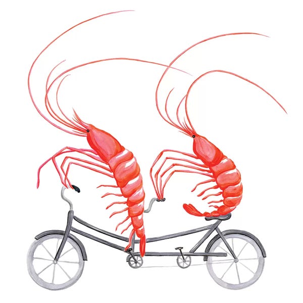 Kids Ocean Life Art: Shrimps On Bike by Amélie Legault