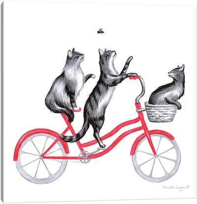 Cats On Bike Canvas Art Print - Amélie Legault