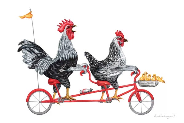 Chickens & Roosters: Chickens On Bike by Amélie Legault