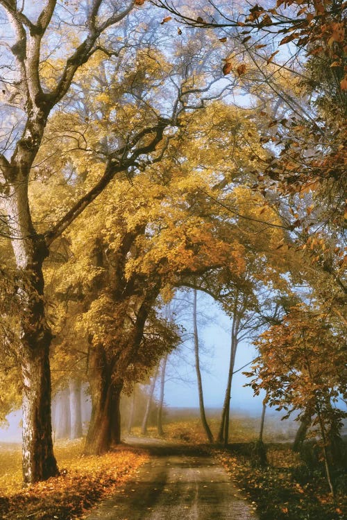 The Road To You by Lars van de Goor wall art