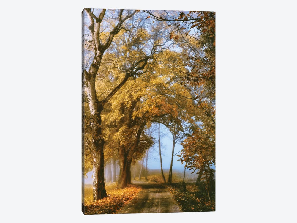 The Road To You 1-piece Canvas Art