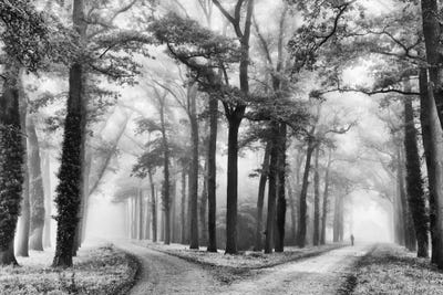WexfordHome Misty Road by Lars Van de Goor Photographic Print on Wrapped Canvas