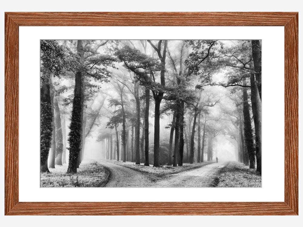 WexfordHome Misty Road by Lars Van de Goor Photographic Print on Wrapped Canvas
