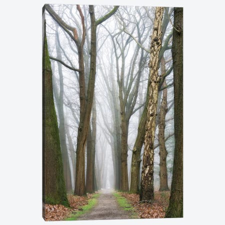 At The End You Will Find A New Beginning Canvas Print #LGR14} by Lars van de Goor Canvas Print
