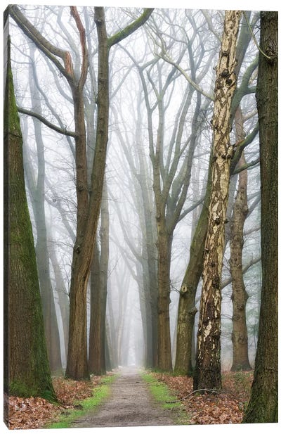 At The End You Will Find A New Beginning Canvas Art Print - Mist & Fog Art