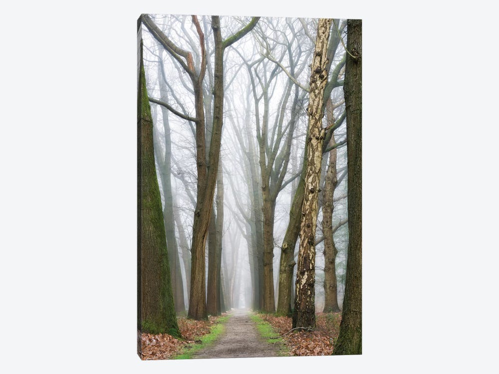 At The End You Will Find A New Beginning by Lars van de Goor 1-piece Canvas Print
