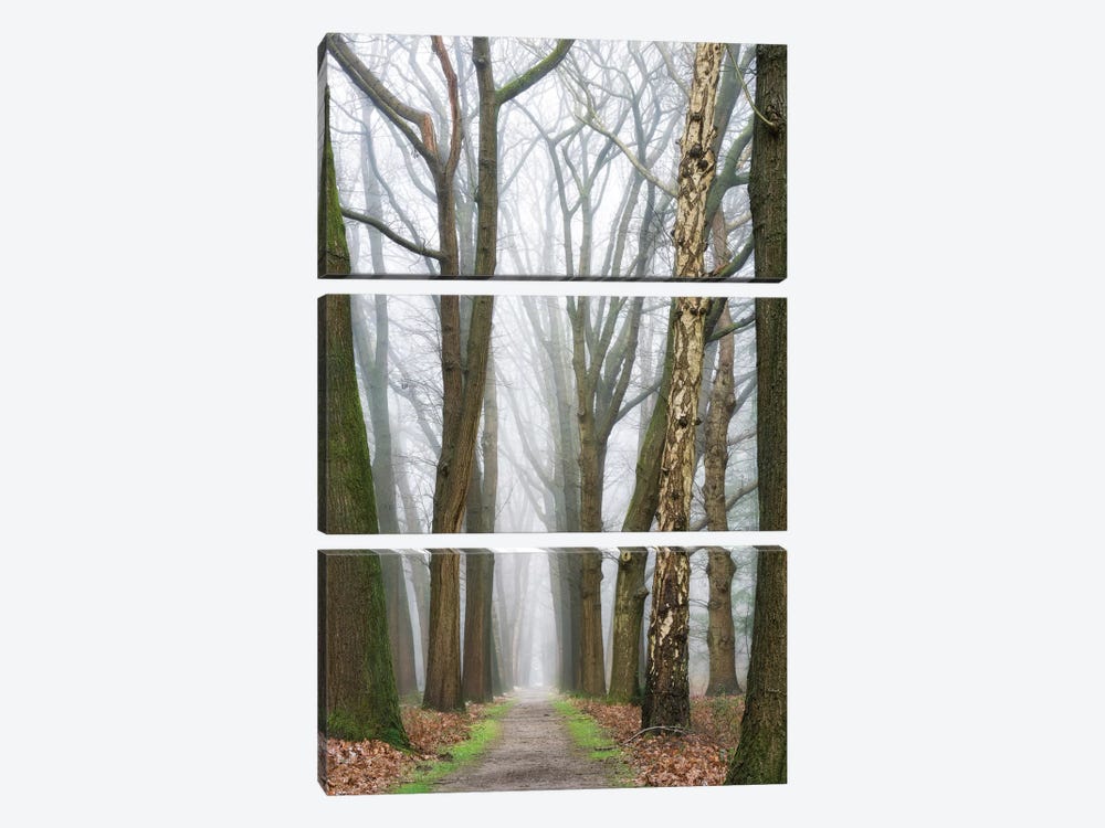 At The End You Will Find A New Beginning by Lars van de Goor 3-piece Art Print