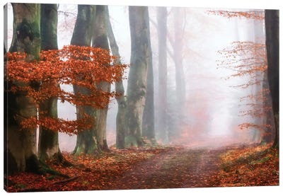Last Guide Before The Mist Canvas Art Print