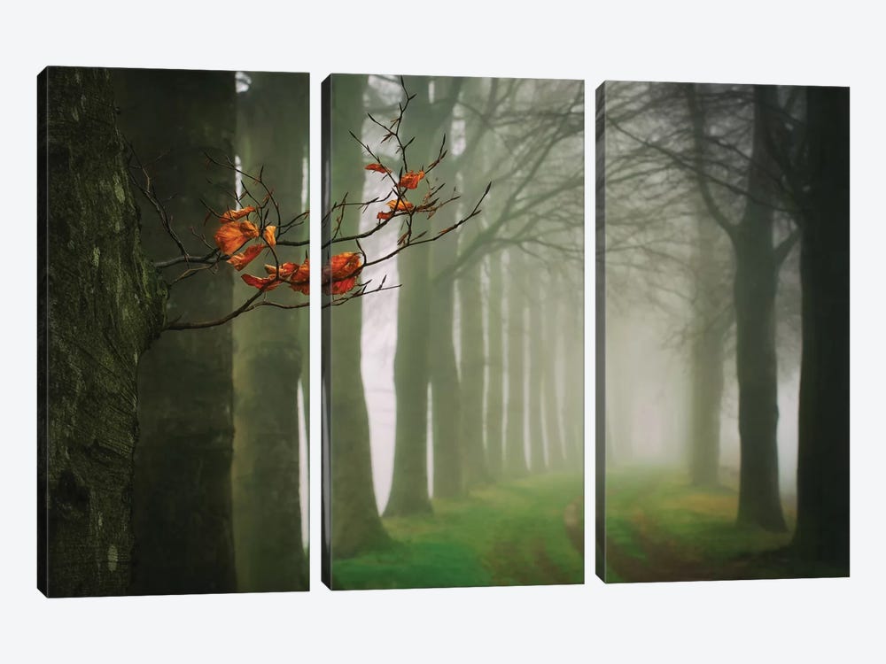 Old & New 3-piece Canvas Wall Art