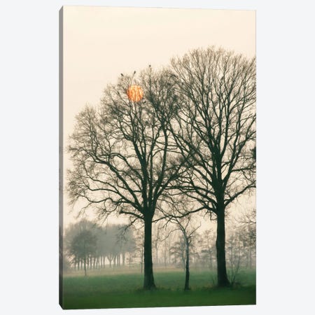 Preparing For Sunset Canvas Print #LGR23} by Lars van de Goor Art Print