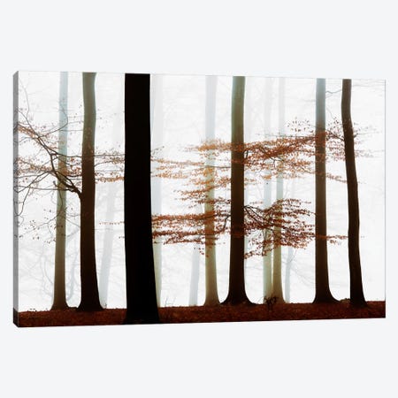 Forest Whispers Canvas Print #LGR2} by Lars van de Goor Canvas Print