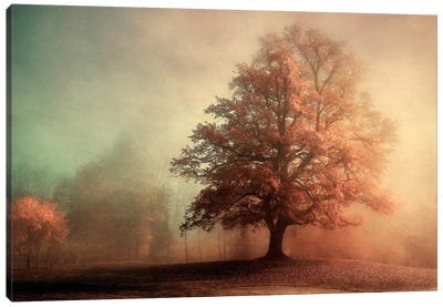 Standing Proud Canvas Art Print - Mist & Fog Art