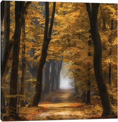 Speuldimensions Canvas Art Print - Autumn Art