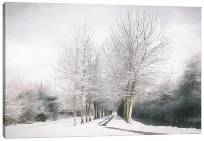 Winter Is Here Canvas Art Print - Lars van de Goor