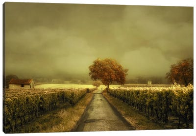 Through The Vineyard Canvas Art Print - Lars van de Goor