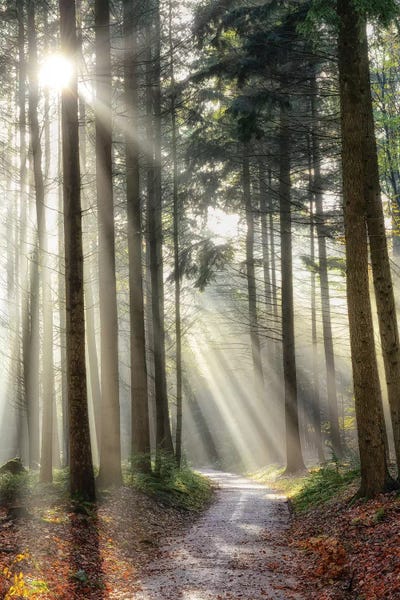Turning Left Can Be Right by Lars van de Goor framed canvas print
