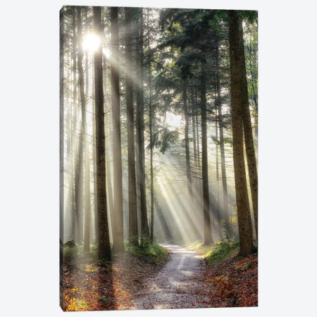 Turning Left Can Be Right Canvas Print #LGR53} by Lars van de Goor Canvas Art