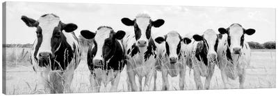 Grazing Pasture Canvas Art Print - Black & White Animal Art
