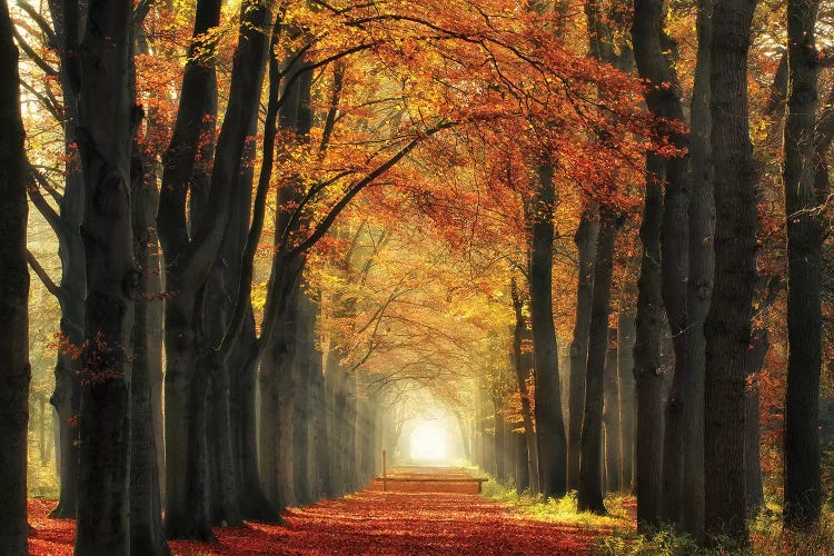 In Love With Fall Again