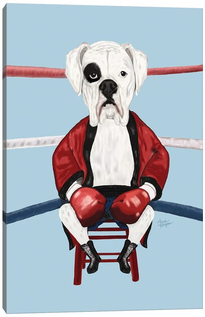 White Boxer Canvas Art Print - Laura Bergsma