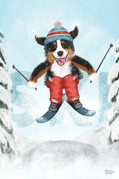 Bernese Mountain Sports - Ski