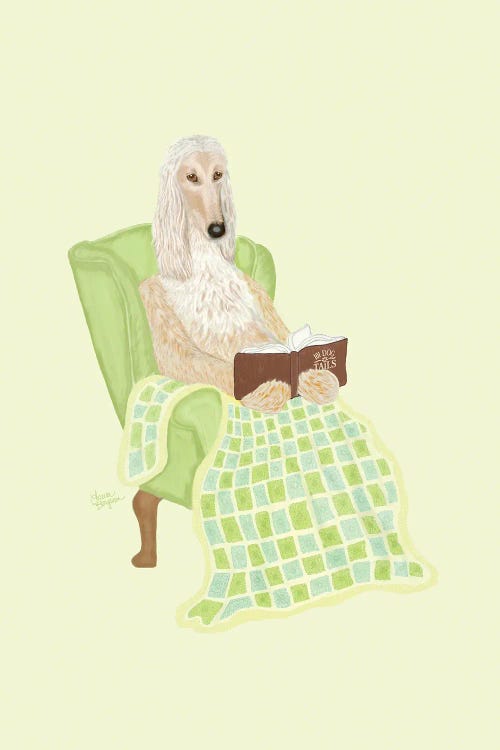 Afghan Hound