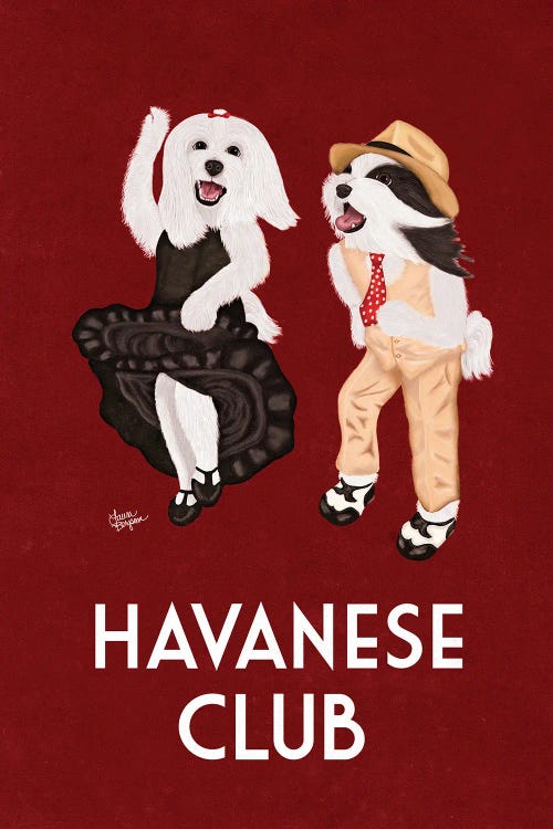 Havanese Club (Borderless)