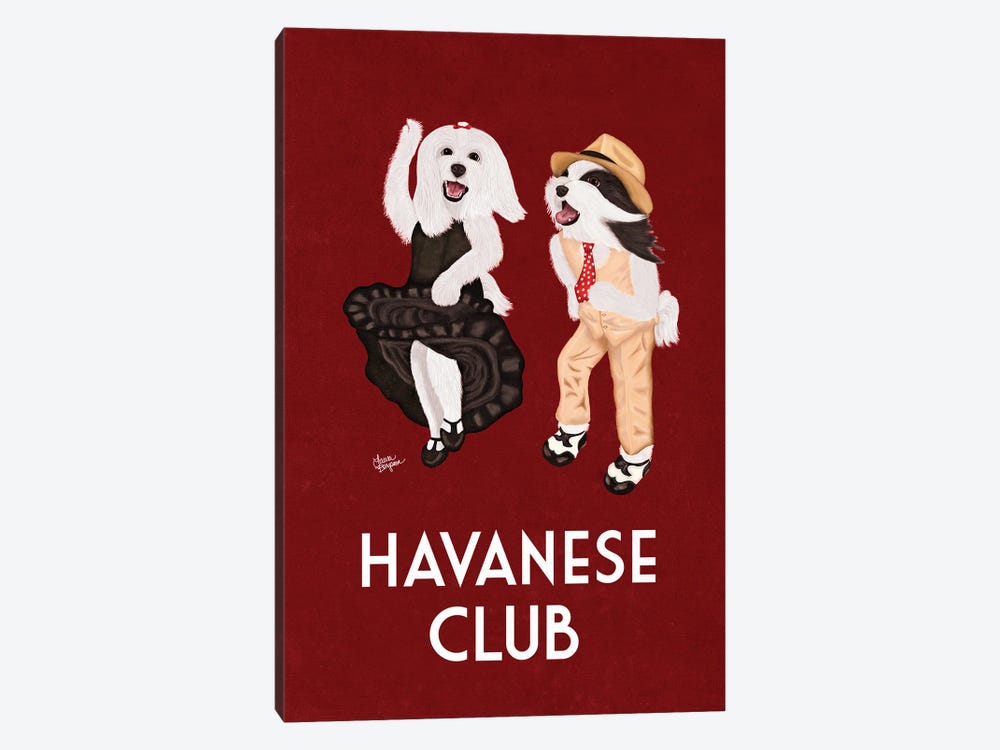 Havanese Club (Borderless) by Laura Bergsma 1-piece Canvas Wall Art