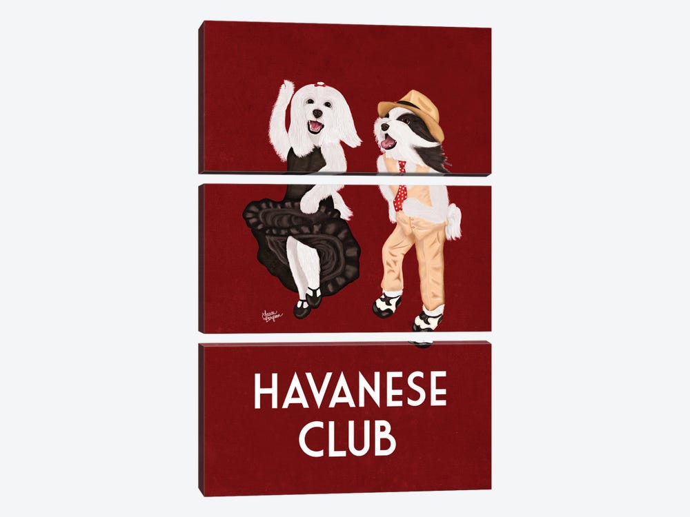 Havanese Club (Borderless) by Laura Bergsma 3-piece Canvas Wall Art