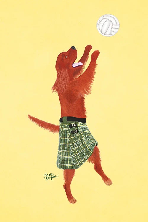 Irish Setter