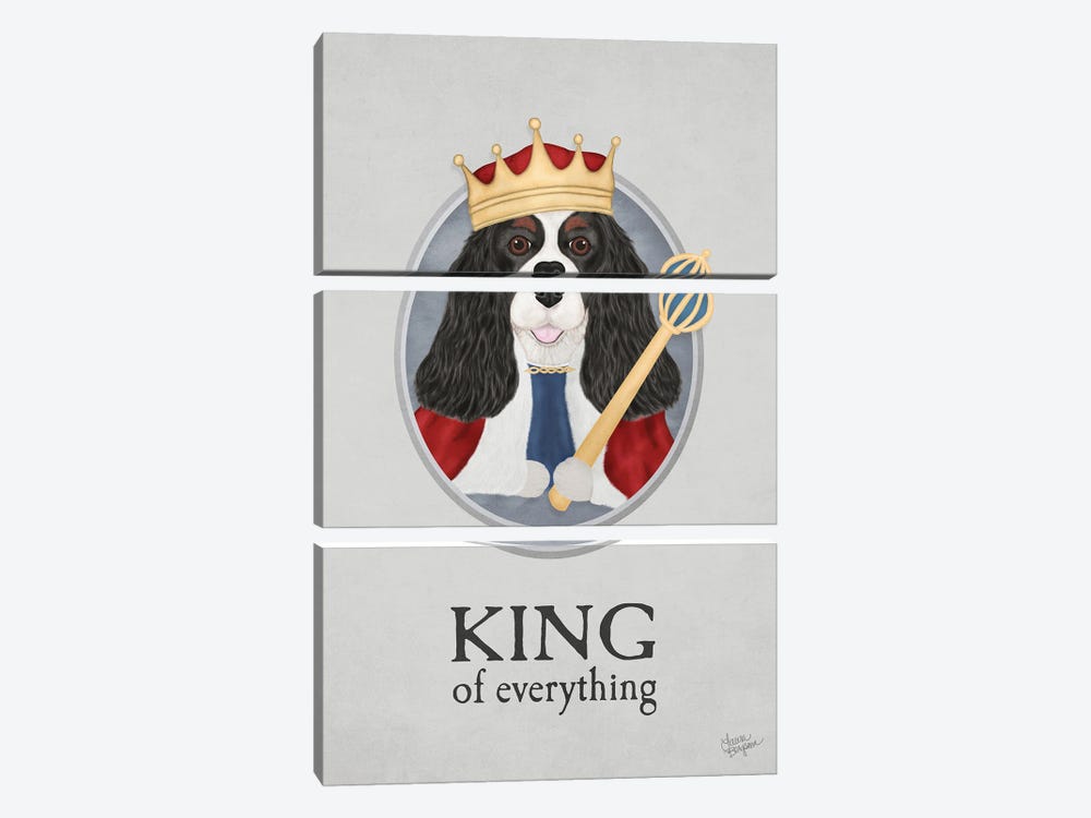 King Of Everything (Tricolor) by Laura Bergsma 3-piece Canvas Artwork