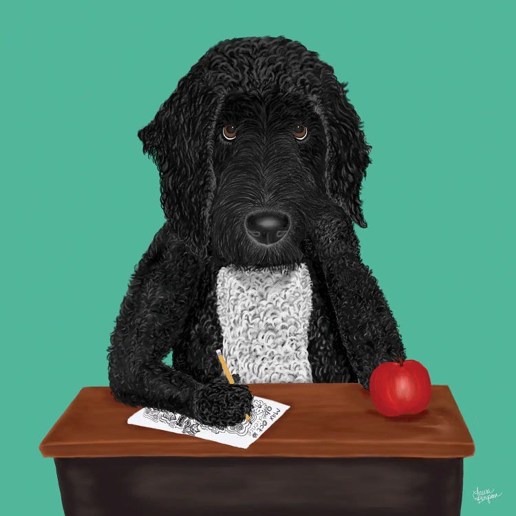 Labradoodle (Square)