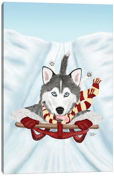 Sled Dog Canvas Art Print - Siberian Husky Art