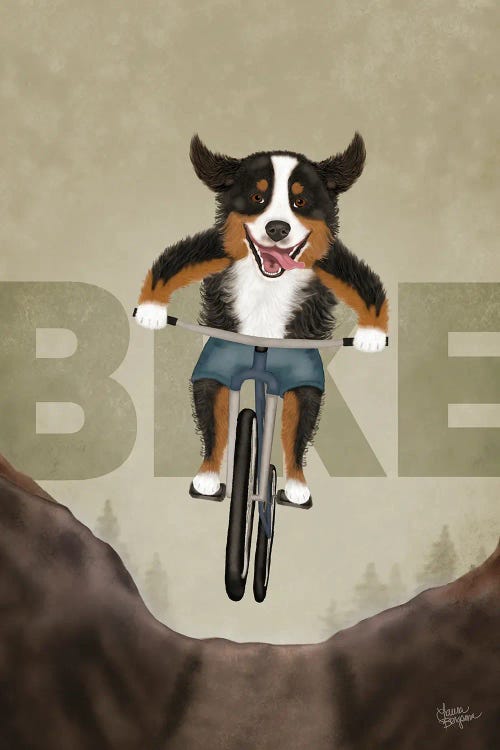 Bernese Mountain Sports - Bike