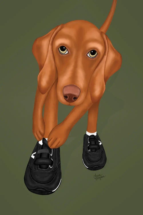 Vizsla