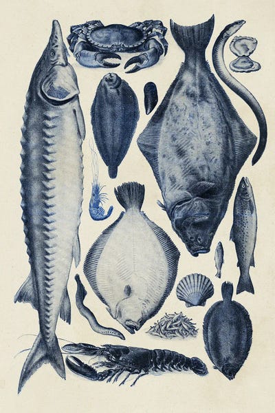 Vintage Animal Illustrations: Blue Fish Chart II by Alicia Longley