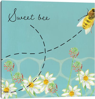 Honeybee Hive I Canvas Art Print - Turquoise Art