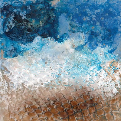 Sharkfin I by Alicia Longley acrylic art print