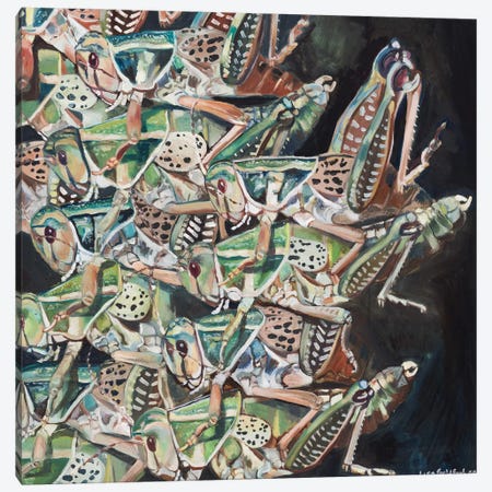 Grasshopper Swarm Canvas Print #LGZ11} by Lisa Goldfarb Canvas Wall Art