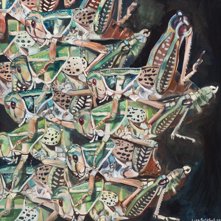 Grasshopper Swarm by Lisa Goldfarb wall art