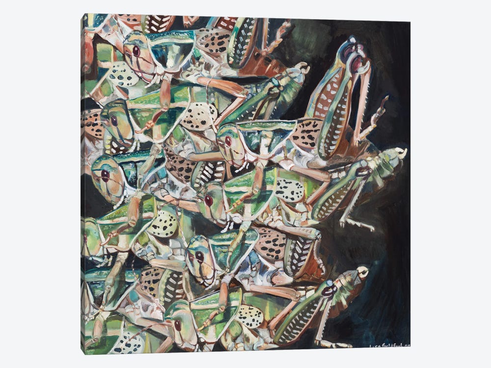 Grasshopper Swarm by Lisa Goldfarb 1-piece Canvas Print