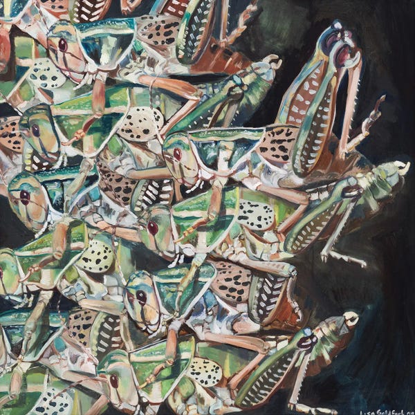 Lisa Goldfarb: Grasshopper Swarm by Lisa Goldfarb